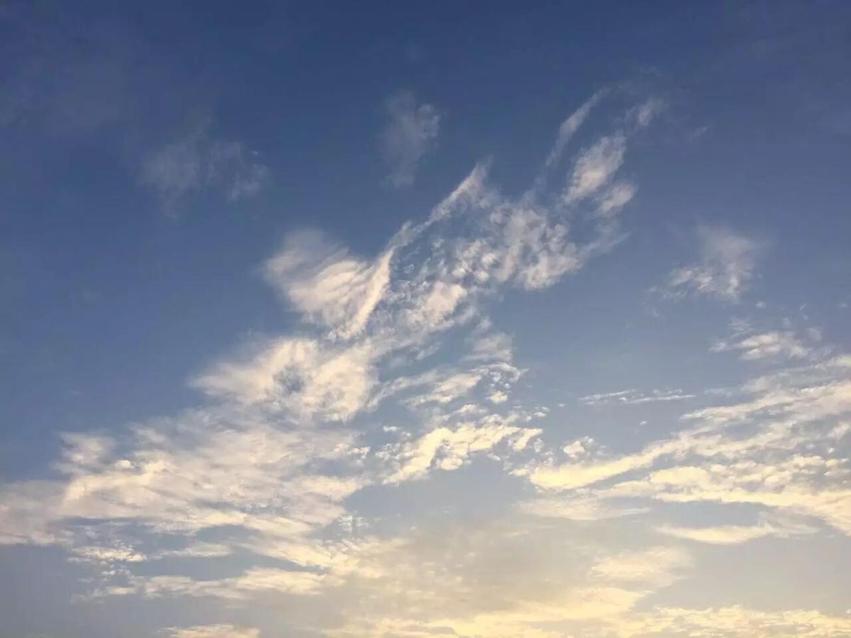 邱兵|在云端