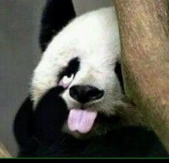 【半年侃】我想和这个世界唠唠
