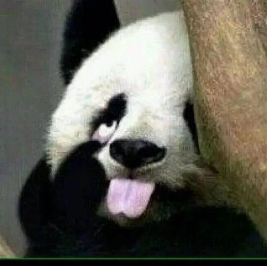 前《南方周末》首席评论员 李铁：我为什么告别了公知生涯？