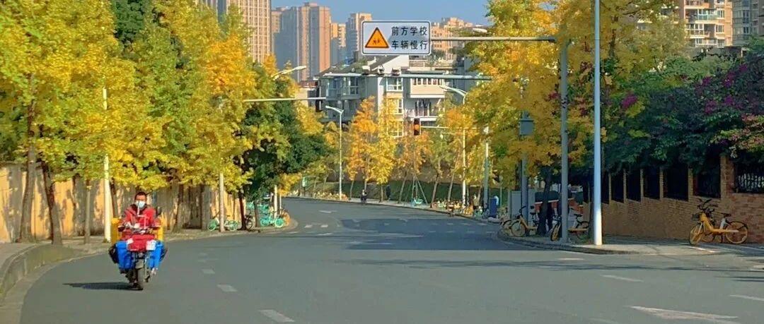 游戏还是主宰？ | 万象