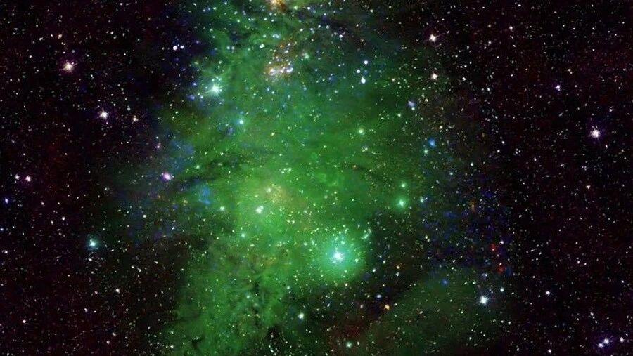 当星星成为圣诞树