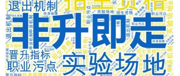 南京林大宋凯：注定被遗忘的殉难者