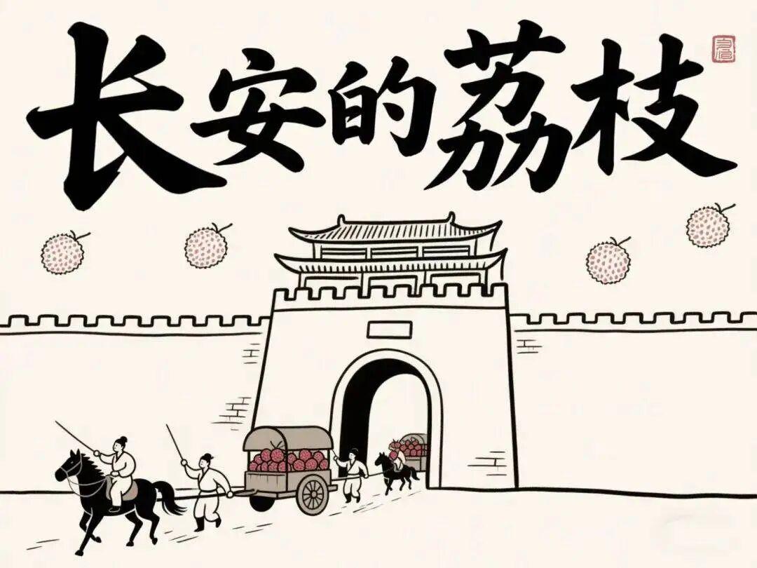 荔枝与幻象